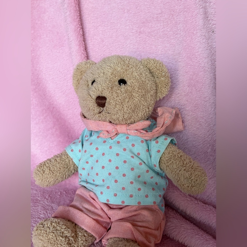 Teddy house authentic mini bear plush with clothes